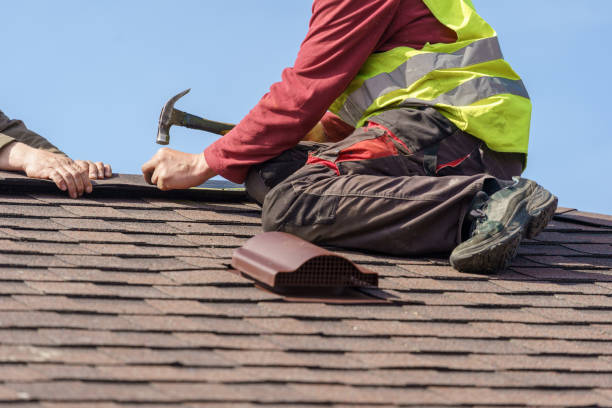 Best Roof Gutter Cleaning  in Crest View Heights, NY