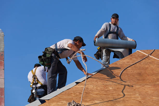Best Metal Roofing Contractor  in Crest View Heights, NY